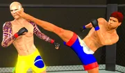 MMA fighting 3D